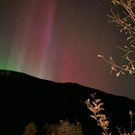 Pilan Lodge Lofoten Vestpollen Exteriér fotografie