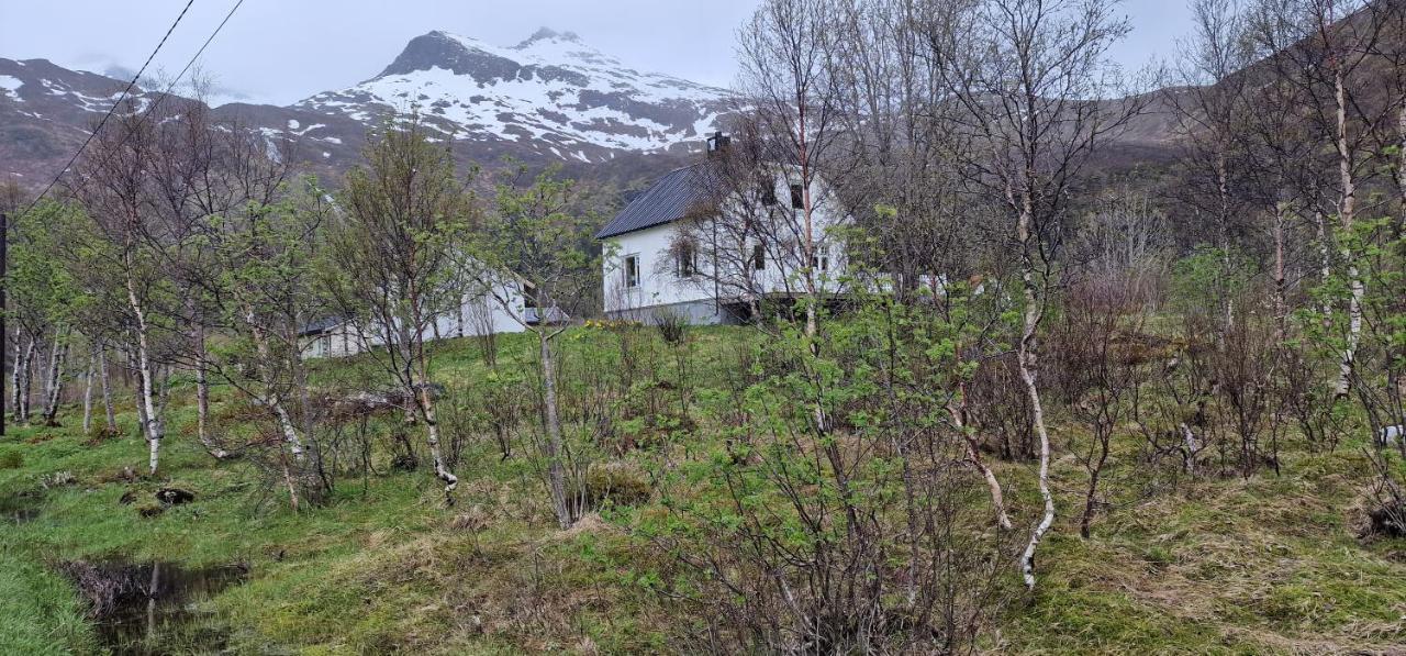 Pilan Lodge Lofoten Vestpollen Exteriér fotografie