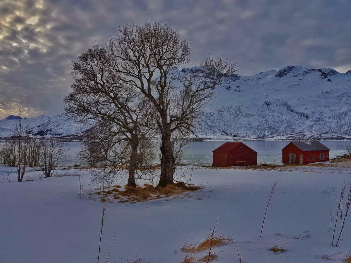 Pilan Lodge Lofoten Vestpollen Exteriér fotografie