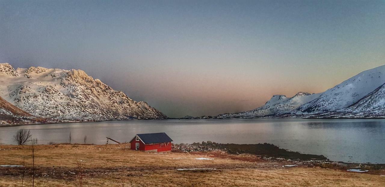 Pilan Lodge Lofoten Vestpollen Exteriér fotografie